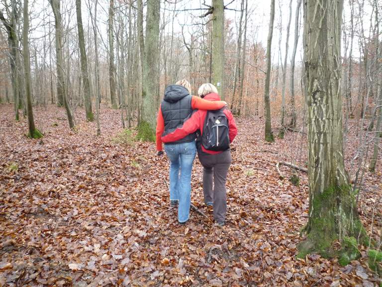 adventwanderung 020