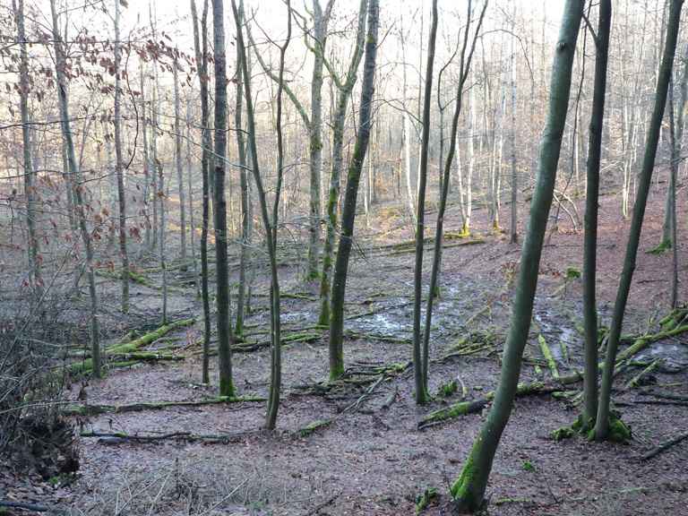 wandern burgbernheim 007