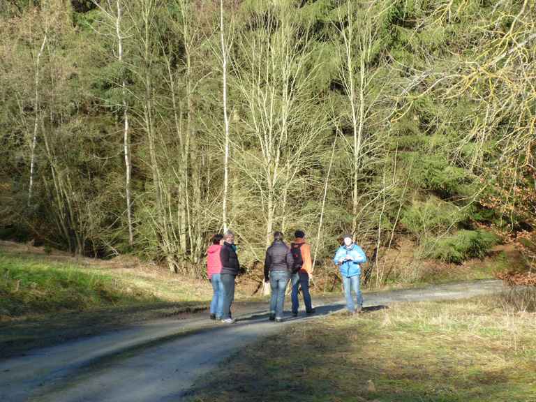 wandern burgbernheim 009