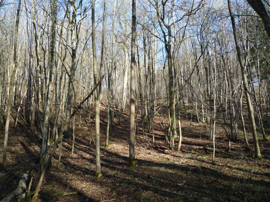 wandern burgbernheim 023