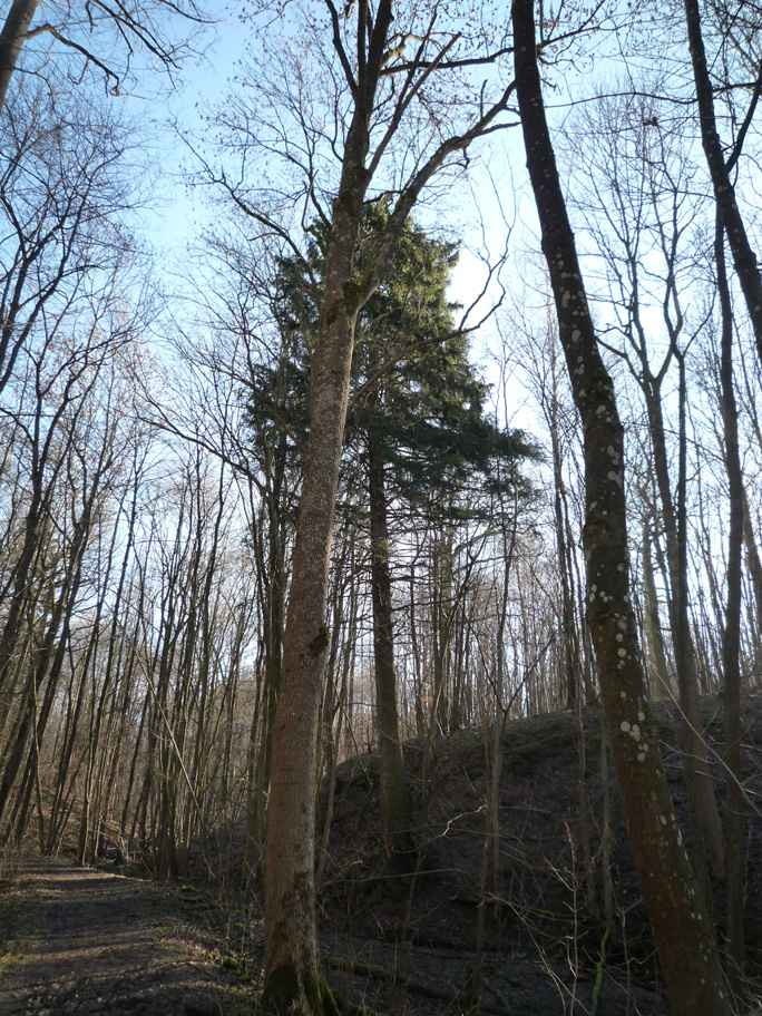 wandern burgbernheim 027