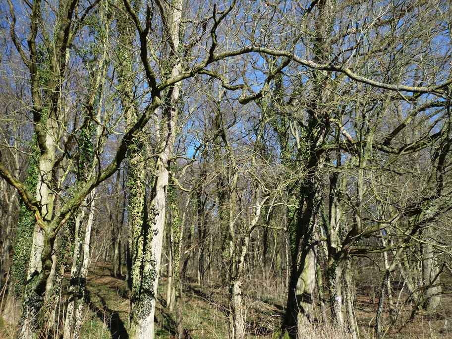 wandern burgbernheim 044