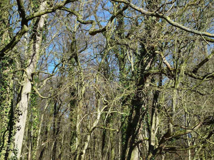 wandern burgbernheim 045