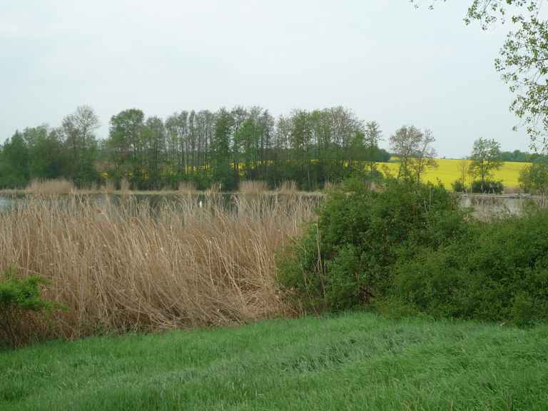 steinbachtal 012