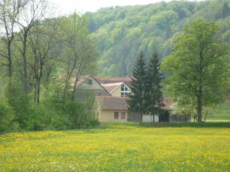 steinbachtal 026