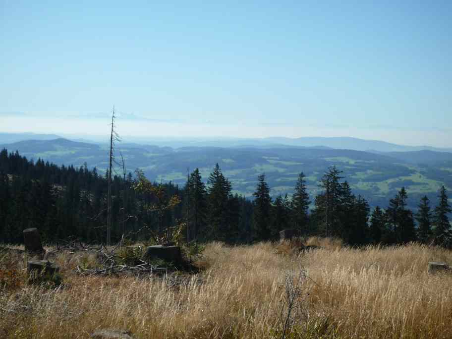 bayrischer Wald 006