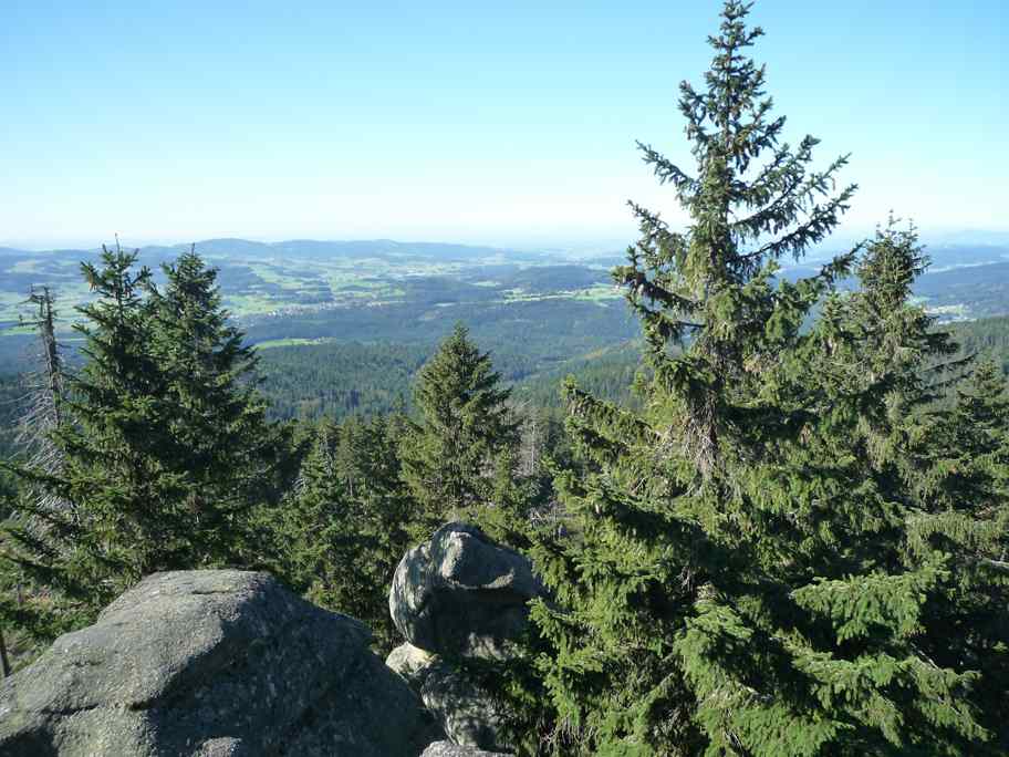 bayrischer Wald 011
