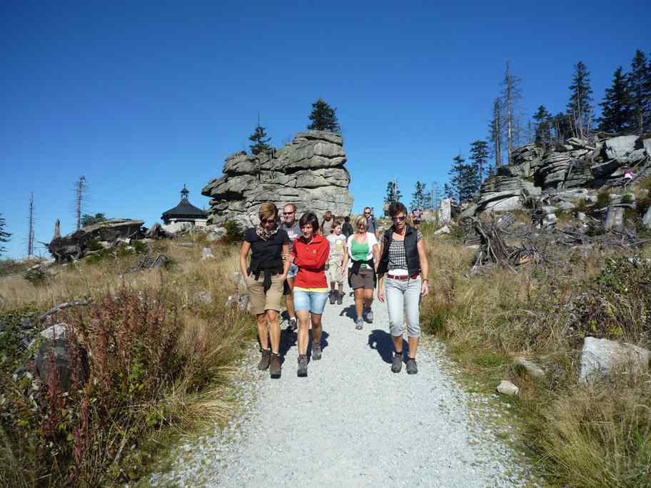 bayrischer Wald 024