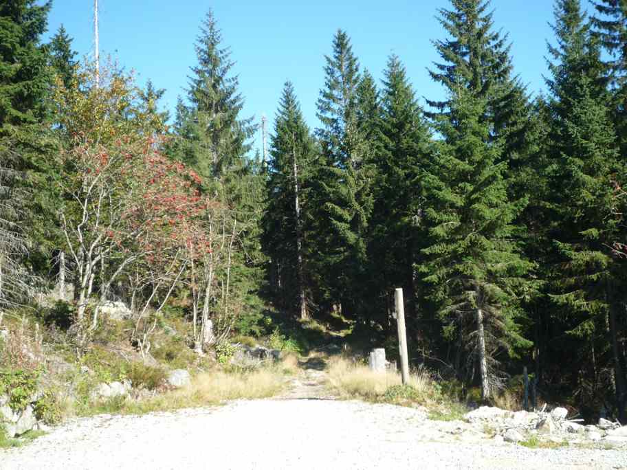 bayrischer Wald 050