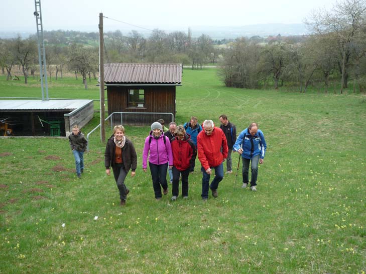 wandern burgbernheimer wald 005