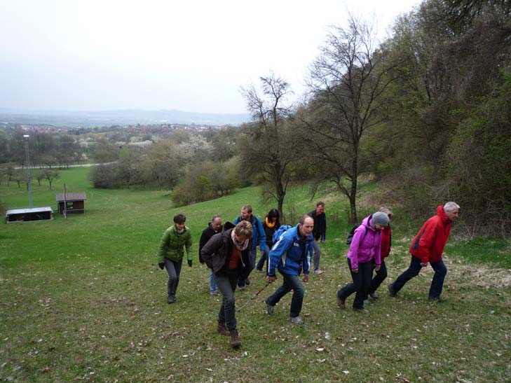 wandern burgbernheimer wald 006