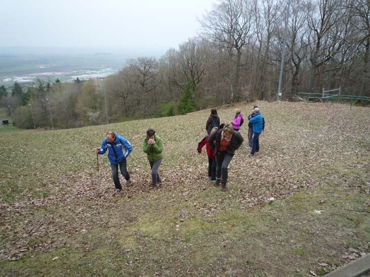 wandern burgbernheimer wald 012