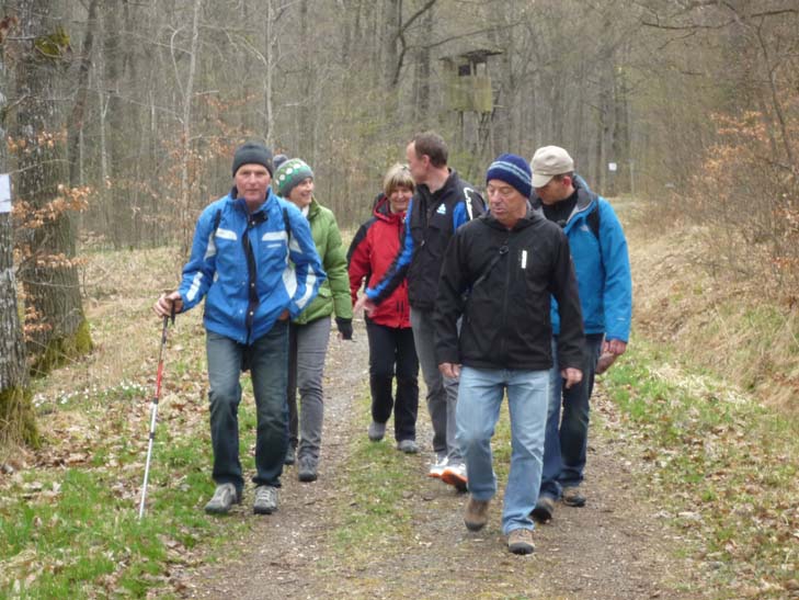 wandern burgbernheimer wald 014
