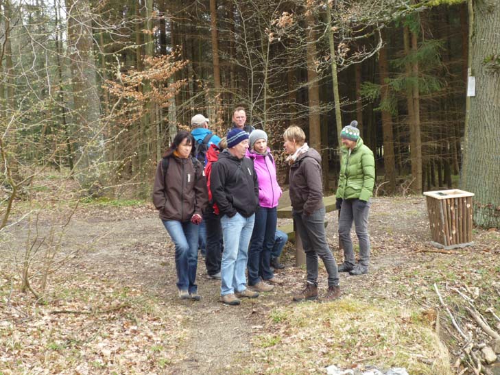 wandern burgbernheimer wald 025