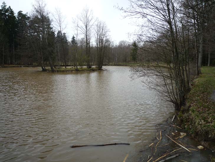 wandern burgbernheimer wald 026