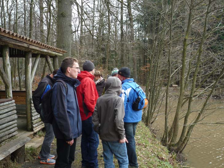 wandern burgbernheimer wald 028