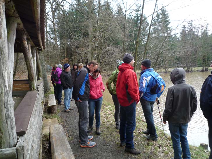 wandern burgbernheimer wald 029