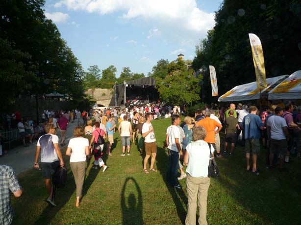 008_hubert_von_goisern