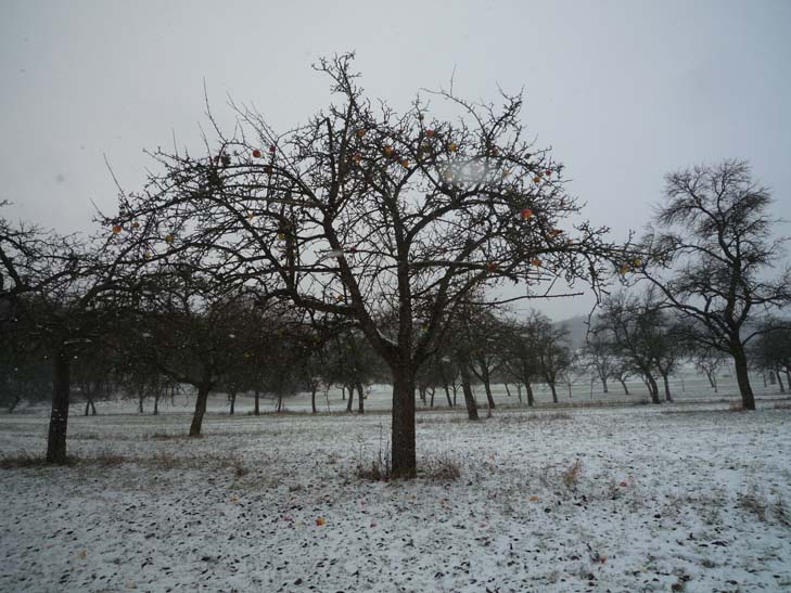 001_adventwanderung_2012