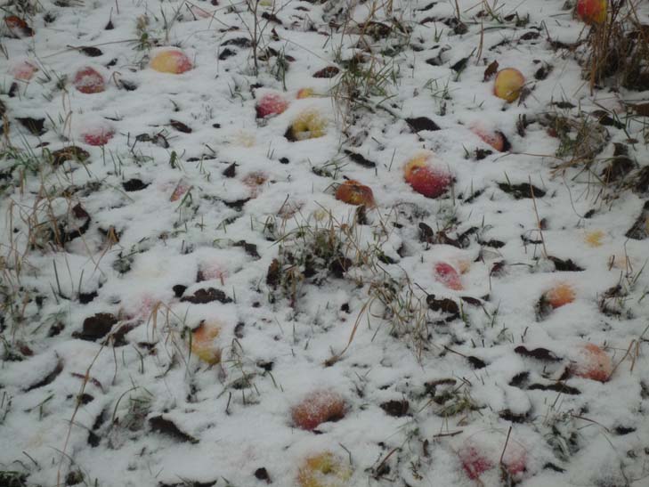 004_adventwanderung_2012