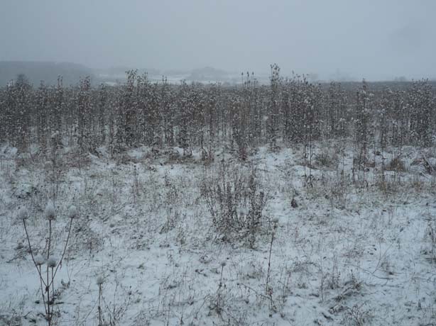 027_adventwanderung_2012