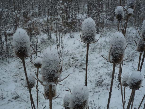 029_adventwanderung_2012