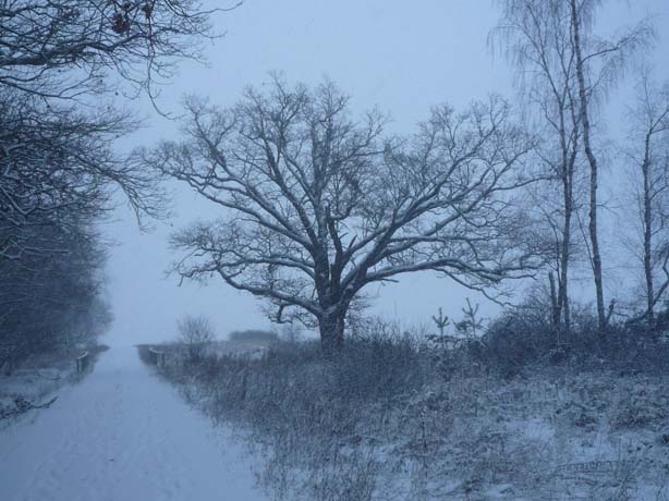 038_adventwanderung_2012