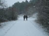 011_adventwanderung_2012