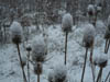 029_adventwanderung_2012
